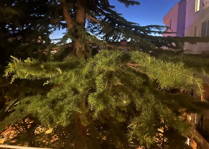 Mila 公寓 贝尔格莱德